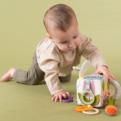 Развивающая игрушка-кубик Activity Cube Urban Garden Taf Toys 13095 Садочок в городе