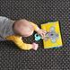 Розвиваюча перекидна книжка пригоди Коали Кіммі Tummy-Time Book Taf Toys 12395