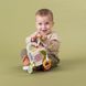 Развивающая игрушка-кубик Activity Cube Urban Garden Taf Toys 13095 Садочок в городе