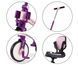 Складной трехколесный велосипед 5в1 Optimus Max Pink Milly Mally MMOMX01P