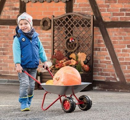 Двухколесная детская металлическая тачка rolly Metallschubkarre Doppelrad Rolly Toys 271849