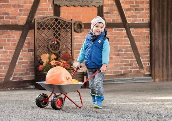 Двухколесная детская металлическая тачка rolly Metallschubkarre Doppelrad Rolly Toys 271849