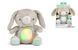 Успокаивающая плюшевая игрушка Heart to Hugs Sylvi Ingenuity Kids2 12920