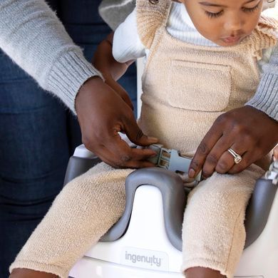 Детское сиденье-бустер Baby Base 2 в 1 Slate Ingenuity 11576