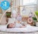 Развивающий коврик Cozy Spot Duvet Ingenuity 12421