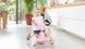 Четырехколесный велокарт для детей 2в1 Berg GO2 Pink Pedal Gokart 24.50.01.00 розовый