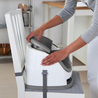 Дитяче сидіння-бустер Baby Base 2 в 1 Mist Ingenuity 16728