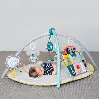Музыкальный развивающий коврик с дугами 4в1 Мир Вокруг All Around Me Gym Taf Toys 12435