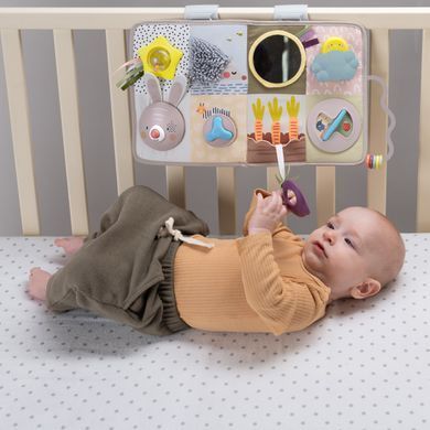 Уценка Развивающий центр для кроватки Developmental Activity Center Taf Toys 13115 с музыкой и светом