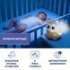 Музична іграшка для малюків 2 в 1 Magic Forest Єнот Cloudy Chicco 10065.00