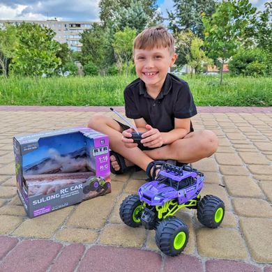 Внедорожник на радиоуправлении Violet (1:16, 27MHz) Bigfoot Off-road KS Drive SL-358RHV