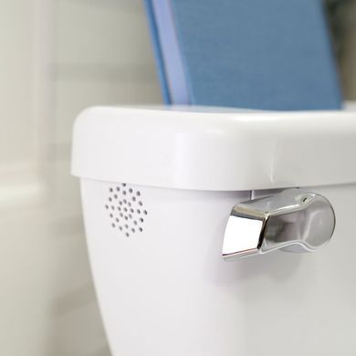 Детский горшок-унитаз Ingenuity My Size Potty Pro 11124