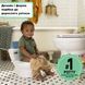 Детский горшок-унитаз Ingenuity My Size Potty Pro 11124