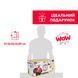 Машинка каталка 2 в 1 Билли Chicco 11211.00