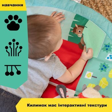 Развивающий коврик 3 в 1 Happy Harvest Baby Einstein 17326
