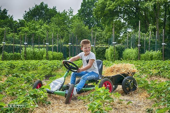 Дитячий велокарт Berg Buddy Fendt BFR 24.21.54.02 від 3 років
