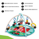 Развивающий коврик 3 в 1 Happy Harvest Baby Einstein 17326